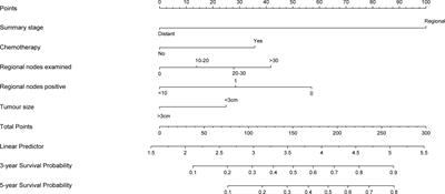 Development and Validation of a Prognostic Nomogram for Predicting Cancer-Specific Survival in Patients With Lymph Node Positive Bladder Cancer: A Study Based on SEER Database